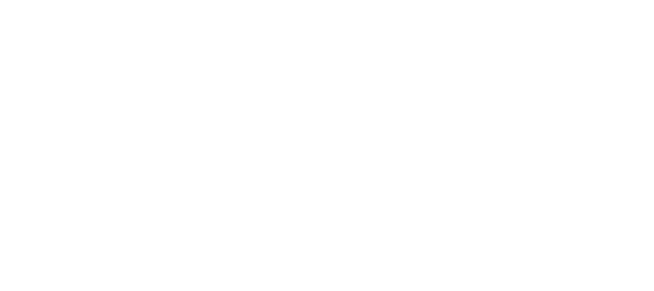 Fiesta Tours Perú