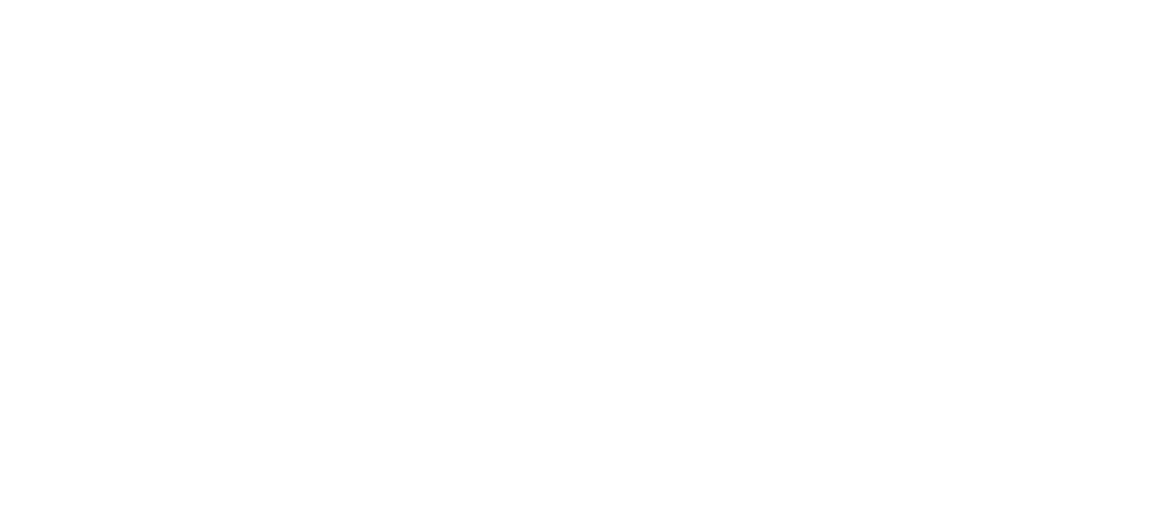 Fiesta Tours Perú